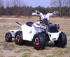 QUAD ATV ROAD Z PRZYCZEPĄ I MEGAFONEM/XMX630T