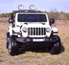 JEEP WRANGLER RUBICON  MIĘKKIE KOŁA, MIĘKKIE SIEDZENIE, 4x4 PEŁNA OPCJA/DK-JWR555