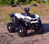 QUAD SPORT 1000  NA AKUMULATOR, DWA SILNIKI, PILOT/MDX608